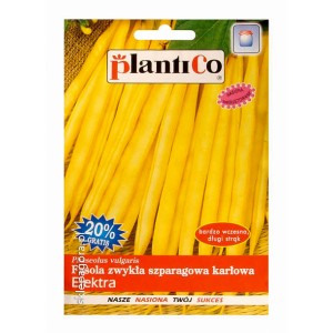 Fasola Elektra 48g zwykła szparagowa karłowa Fasola Elektra 48g zwykła szparagowa karłowa