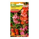 Niecierpek balsamina mieszanka 1g