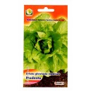 Sałata Modesta 1g głowiasta masłowa