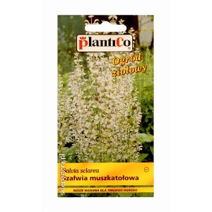 Szałwia muszkatołowa 0,5g Szałwia muszkatołowa 0,5g