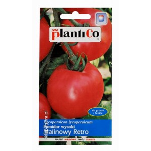 Pomidor Malinowy Retro 0,5g wysoki