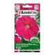 Petunia ogrodowa Iluzja 0,05g różowa