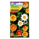 Gazania błyszcząca mieszanka 1g