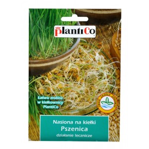 Nasiona na kiełki Pszenica 50g