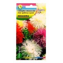 Aster igiełkowy wysoki mieszanka 1g