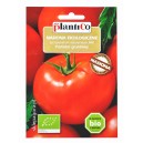 Pomidor gruntowy Ace VF BiO 0,3g