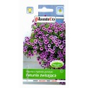 Petunia zwisająca Fortuna 0,05g