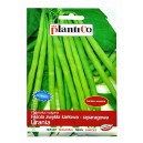 Fasola Urania 40g karłowa szparagowa
