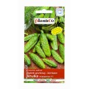 Og&oacute;rek gruntowy Anulka 3g - korniszon