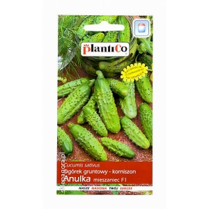 Og&oacute;rek gruntowy Anulka 3g - korniszon