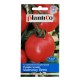 Pomidor Malinowy Retro 10g
