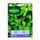 Stewia 10mg Vilmorin