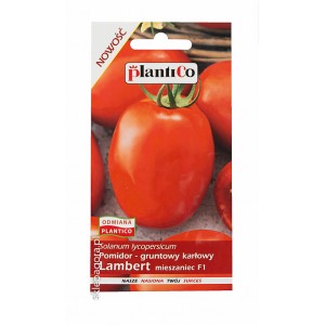 Pomidor Lambert gruntowy karłowy 0,5g