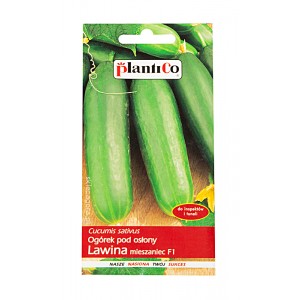 Ogórek pod osłony Lawina 10g