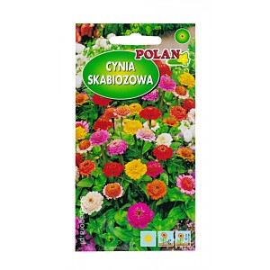 Cynia Skabiozowa mix 1g Polan