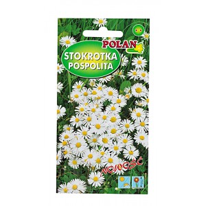 Stokrotka pospolita 0,2g Polan