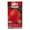 Pomidor gruntowy Awizo 10g