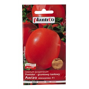 Pomidor gruntowy Awizo 10g