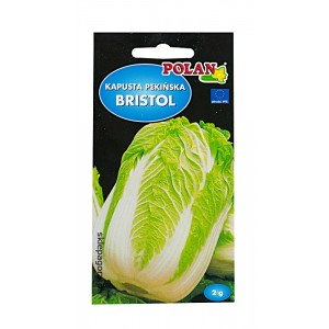Kapusta pekińska Bristol 2g