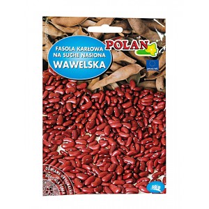 Fasola Wawelska 50g na suche nasiona