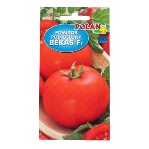 Pomidor pod oslony Bekas F1 0,5g Polan