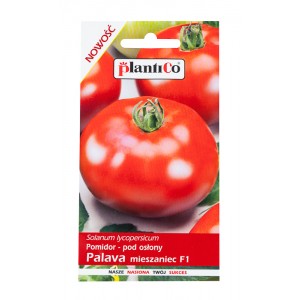 Pomidor pod osłony Palava 0,1g
