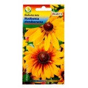 Rudbekia dwubarwna 0,5g